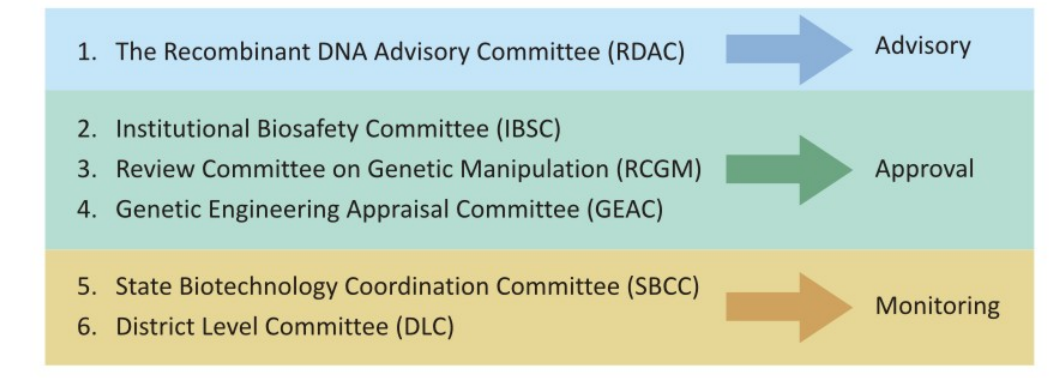 Regulatory _Framework_on_GMO